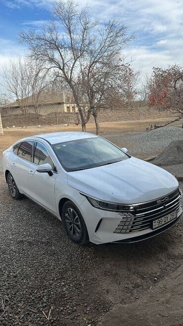BYD Destroyer 05: 1.5 l | 2024 il Sedan