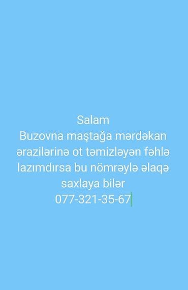 Landşaft işləri: Xidmət: Buzovna–Maştağa–Mərdəkan ərazilərində ot və alaq otlarının — 1