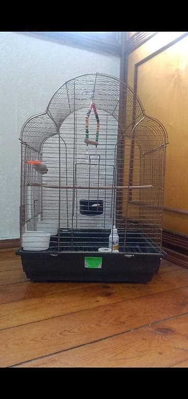 📍Təcili📍Öncelikle her kese salam lazım olmadiği uçun maya deyerinden