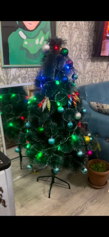 avokado ağacı: Hundurluk 1.5m. Elage wp — 2