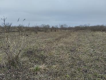 memar ecemide ev alqi satqisi: Kənd təsərrüfatı — 5