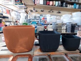 kaybolan yıllar 50: Dibcek Dibcek qabi yumru aq rengli gul.qabi yumru aq rengli dibcek — 14