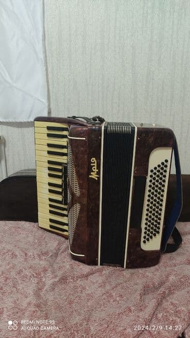 bayan aləti: Qarmon — 2