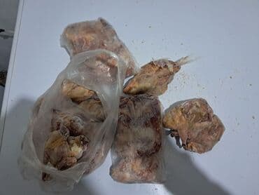 Gəmiricilər: Bildirçinlər satılır 1-i 3 manat Endirim olunacağ — 3