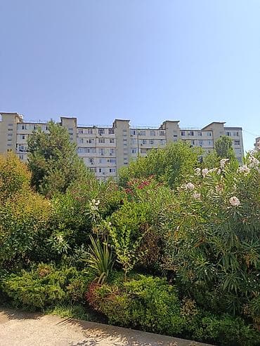 Mənzillər: Bakı, Yasamal, 2 otaqlı, Köhnə tikili, m. 20 Yanvar, 53 kv. m — 3