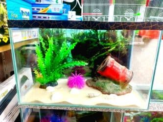 фильтр для аквариума: 🐠 NALASA Akvaryum Dünyası 🐠 - Hazır, istənilən növ akvaryumlar — 5