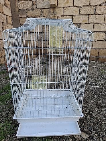 ev quşları: Quş qəfəsi – ağ metal - Material: toz boya ilə örtülmüş metal — 1