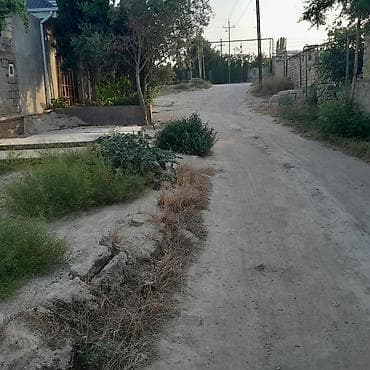 8 sot, Kupça (Çıxarış) lalafo.az -da 8 sot, Kupça (Çıxarış)
