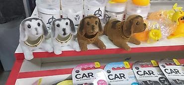 qus qefesi satilir: Salam eziz musderilermiz yeni gelen masin siti ucun itlermiz geldi — 5