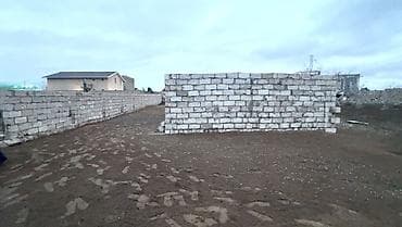 Tikinti, Kupça (Çıxarış)