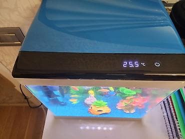 bala keçi: Akvarium, 14 ədəd balıq, 3 ədəd aksesuar, daşlar. Akvariumda qızdırıcı — 3