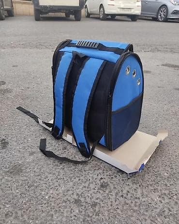 Gəmiricilər: Heyvanlar üçün daşınma çantaları satılır. İt və pişiklər üçün - bir — 4