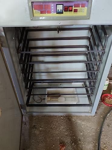 Biznes üçün avadanlıq: 1100 yumurta, Tam avtomat — 3