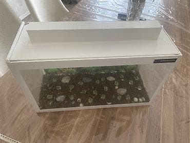akva: Dördbucaq akvarium, Boş, 20 l, Ünvandan götürmə — 3