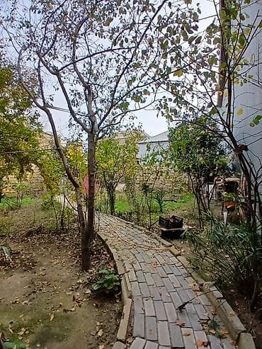 mehdiabad ev: Həyət evi 3 sot 3 otaq əl damı arxada bağı iki daş kürsülü real — 9