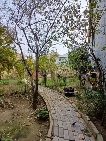 sumqayit kotec qesebesi evler: Salam həyət evi satılır 15 ilin evidir cütdaş tikili bünövrə dəniz — 7