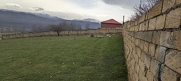 ev aliram tecili: 13 sot, Tikinti, Mülkiyyətçi, Kupça (Çıxarış) — 2