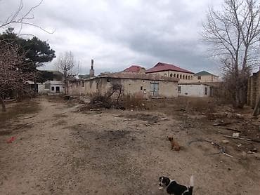 cıxarış: 22 sot, Kupça (Çıxarış) — 1