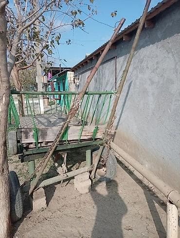 ps 4 disk: Cellabadadr real alci zeng edsin endirim olacaq - Traktor və ya at — 4