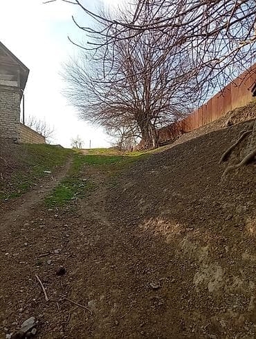 38 sot, Kənd təsərrüfatı, Mülkiyyətçi, Kupça (Çıxarış)