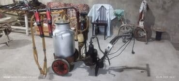 Доильные аппараты: Одиночный бидон — 4