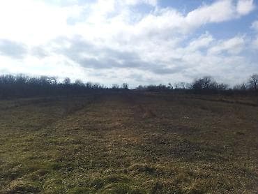 ayda torpaq satışı: 96 sot, Biznes üçün, Kupça (Çıxarış) — 4