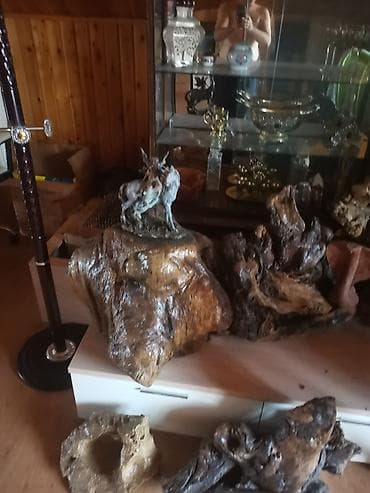 Taxda eşyalari dekor agac quruları — 1