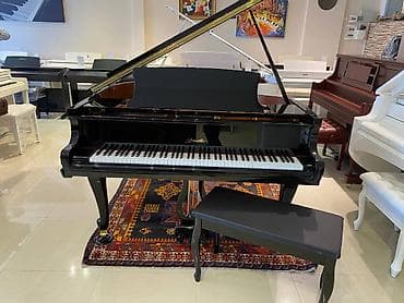 gitara satilir: Liderlik tarixi digər Uzaq Şərqdəki fabrikaların yaranma tarixi qədər — 1