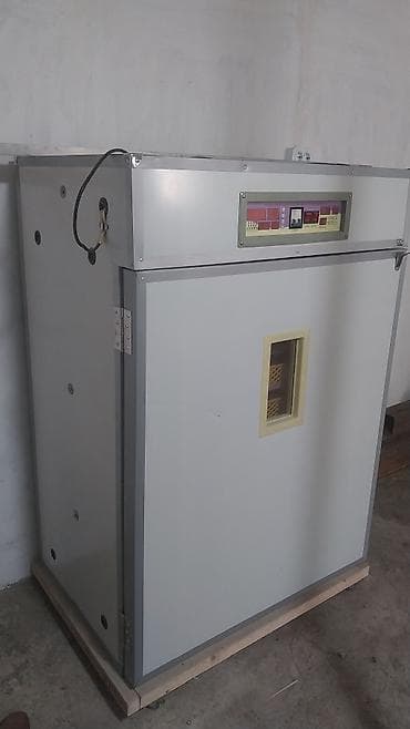 İnkubatorlar: 1100 yumurta, Tam avtomat — 2