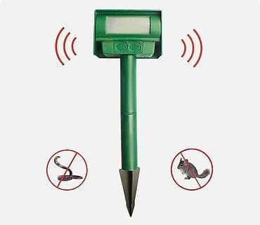 Heyvan qovan İlan qovan Sumqayıt şəhəri 10 cu mkr Xəlifə şadlıq