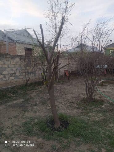 yasamalda heyet evlerinin satışı: 3 otaqlı, 100 kv. m, Kredit yoxdur, Orta təmir — 22