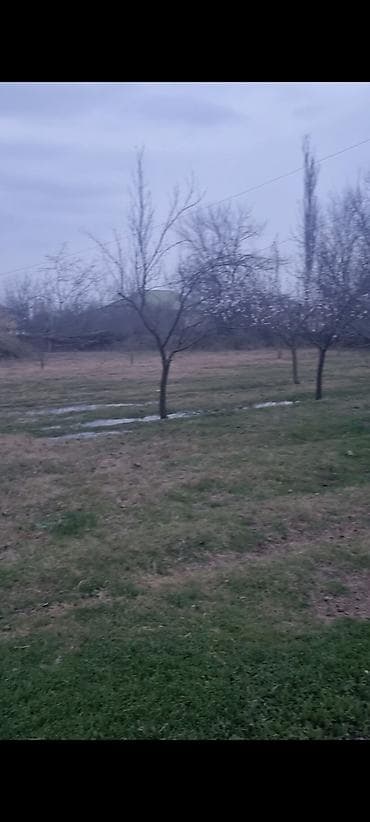 21 sot, Kənd təsərrüfatı, Mülkiyyətçi, Bələdiyyə, Kupça (Çıxarış)