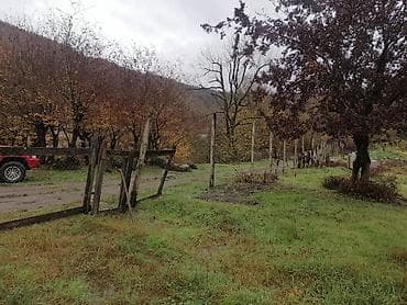 ramanada torpaq: TƏCİLİ SATILIR – Lerik, Hamarmeşə kəndi, 30-cu km Esas yola 50 metr — 7