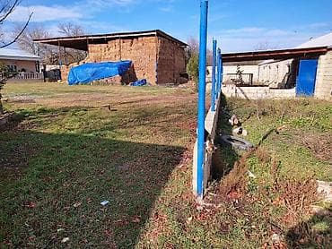 beyleqanda torpaq satilir: 36 sot, Biznes üçün, Mülkiyyətçi, Kupça (Çıxarış), Bələdiyyə — 3