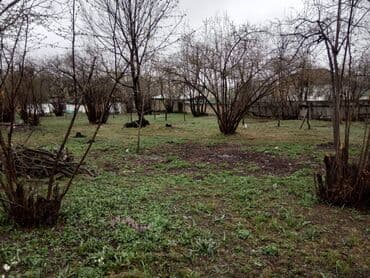 maştağada torpaq: 17 sot, Mülkiyyətçi, Bələdiyyə — 1