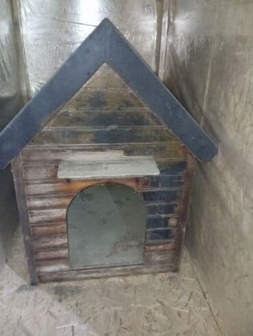 Биология: Taxta it evi - Material: tam ağac karkas, üfüqi taxta lövhələrdən — 2