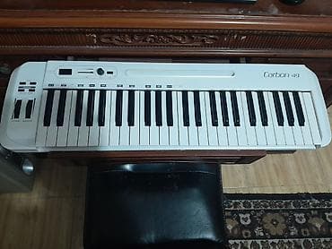 Nəfəs alətləri: Tecili satilir — 1