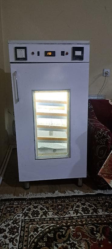 Azərbaycan, Tam avtomat — 5