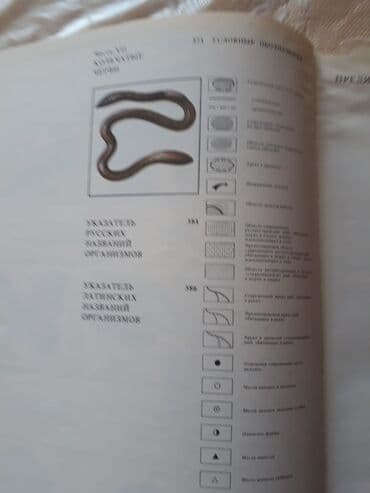 объявлений: Книги о животных. Чтобы посмотреть все мои объявления,нажмите на имя — 3