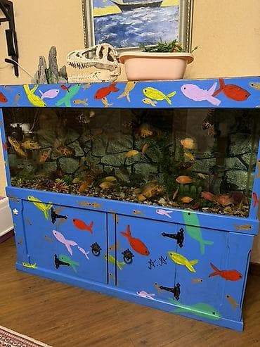 сколько стоит аквариум: Аквариум - 2 м ( 7,000 Манат Цена — 3