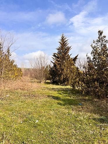 kiraye evle: Tikinti, Kupça (Çıxarış) — 4