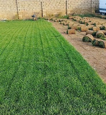 Qazon satışı Qazon sifariş edənlərə xüsusi təklif! Bağınız üçün ideal