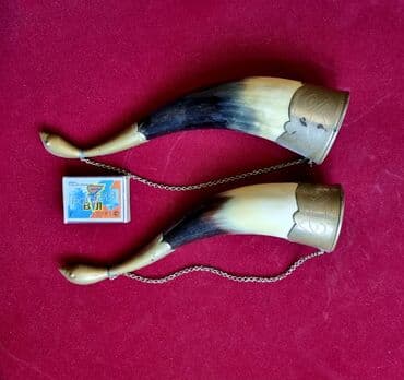 Dənəsi 25 m. Buynuzlar