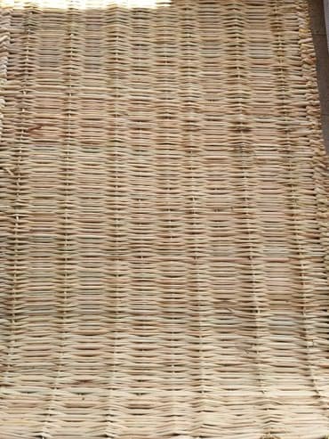 Toxumlar: Arakəsmələr üçün,çay evləri, rstoranlar, besetka, balkonlar üçün — 2