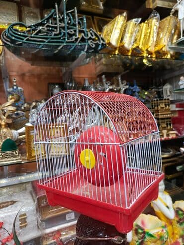 dovşan balası: Dovşan yemləri 2azn Dovşan balaları 5azn topdan Sadə yem Topdan 1-azn — 8