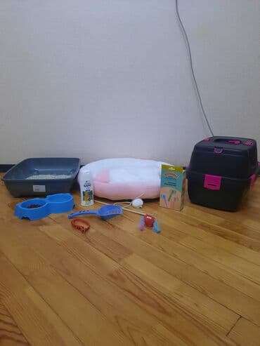 pişik çantasi: Tabbi, Yaxşı əllərə — 6