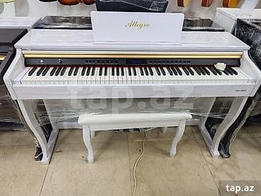 Elektro piano Endirim 💣 Elektro piano Zəmanət - 12 ay Allegro