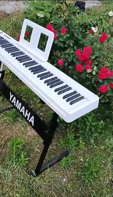 mp3 yüklə: Piano, Rəqəmsal, Yeni, Pulsuz çatdırılma — 5