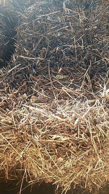 Yonca-kələ-kötür ot balyaları - Məhsul: Qurudulmuş yem otunun
