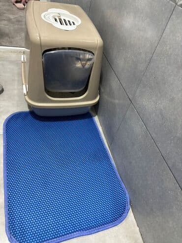 11ailıq lalafo.az -da 11ailıq